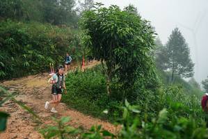 BIB: 
                            <button type="button" onclick="openModal(26382084)" class="btn btn-primary btn-sm float-right btn-popup" data-toggle="modal" data-target=".modal-high-quality">
                        <i class="fas fa-shopping-cart"></i> Add to Cart
                    </button>
                                            <button type="button" onclick="isThisMe(26382084, true)" class="btn btn-success btn-sm float-right btn-popup btn-isme hidden" data-toggle="tooltip" data-placement="bottom" title="นี่คือรูปของคุณใช่ไหม คลิกที่นี่เพื่อเอาเข้าอัลบั้ม">
                        <i class="fas fa-plus"></i> Add to album
                    </button>
                    <button type="button" onclick="isThisMe(26382084, false)" class="btn btn-warning btn-sm float-right btn-popup btn-isnotme hidden">
                        <i class="fas fa-ban"></i> Remove from album
                    </button>