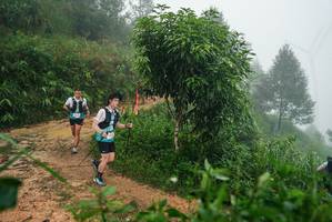 BIB: 
                            <button type="button" onclick="openModal(26383530)" class="btn btn-primary btn-sm float-right btn-popup" data-toggle="modal" data-target=".modal-high-quality">
                        <i class="fas fa-shopping-cart"></i> Add to Cart
                    </button>
                                            <button type="button" onclick="isThisMe(26383530, true)" class="btn btn-success btn-sm float-right btn-popup btn-isme hidden" data-toggle="tooltip" data-placement="bottom" title="นี่คือรูปของคุณใช่ไหม คลิกที่นี่เพื่อเอาเข้าอัลบั้ม">
                        <i class="fas fa-plus"></i> Add to album
                    </button>
                    <button type="button" onclick="isThisMe(26383530, false)" class="btn btn-warning btn-sm float-right btn-popup btn-isnotme hidden">
                        <i class="fas fa-ban"></i> Remove from album
                    </button>