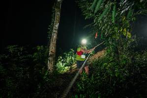 BIB: 
                            <button type="button" onclick="openModal(26372673)" class="btn btn-primary btn-sm float-right btn-popup" data-toggle="modal" data-target=".modal-high-quality">
                        <i class="fas fa-shopping-cart"></i> Add to Cart
                    </button>
                                            <button type="button" onclick="isThisMe(26372673, true)" class="btn btn-success btn-sm float-right btn-popup btn-isme hidden" data-toggle="tooltip" data-placement="bottom" title="นี่คือรูปของคุณใช่ไหม คลิกที่นี่เพื่อเอาเข้าอัลบั้ม">
                        <i class="fas fa-plus"></i> Add to album
                    </button>
                    <button type="button" onclick="isThisMe(26372673, false)" class="btn btn-warning btn-sm float-right btn-popup btn-isnotme hidden">
                        <i class="fas fa-ban"></i> Remove from album
                    </button>