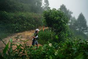 BIB: 
                            <button type="button" onclick="openModal(26377748)" class="btn btn-primary btn-sm float-right btn-popup" data-toggle="modal" data-target=".modal-high-quality">
                        <i class="fas fa-shopping-cart"></i> Add to Cart
                    </button>
                                            <button type="button" onclick="isThisMe(26377748, true)" class="btn btn-success btn-sm float-right btn-popup btn-isme hidden" data-toggle="tooltip" data-placement="bottom" title="นี่คือรูปของคุณใช่ไหม คลิกที่นี่เพื่อเอาเข้าอัลบั้ม">
                        <i class="fas fa-plus"></i> Add to album
                    </button>
                    <button type="button" onclick="isThisMe(26377748, false)" class="btn btn-warning btn-sm float-right btn-popup btn-isnotme hidden">
                        <i class="fas fa-ban"></i> Remove from album
                    </button>