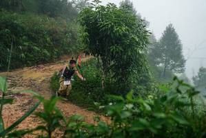 BIB: 
                            <button type="button" onclick="openModal(26380243)" class="btn btn-primary btn-sm float-right btn-popup" data-toggle="modal" data-target=".modal-high-quality">
                        <i class="fas fa-shopping-cart"></i> Add to Cart
                    </button>
                                            <button type="button" onclick="isThisMe(26380243, true)" class="btn btn-success btn-sm float-right btn-popup btn-isme hidden" data-toggle="tooltip" data-placement="bottom" title="นี่คือรูปของคุณใช่ไหม คลิกที่นี่เพื่อเอาเข้าอัลบั้ม">
                        <i class="fas fa-plus"></i> Add to album
                    </button>
                    <button type="button" onclick="isThisMe(26380243, false)" class="btn btn-warning btn-sm float-right btn-popup btn-isnotme hidden">
                        <i class="fas fa-ban"></i> Remove from album
                    </button>