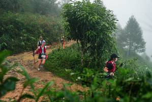 BIB: 
                            <button type="button" onclick="openModal(26381219)" class="btn btn-primary btn-sm float-right btn-popup" data-toggle="modal" data-target=".modal-high-quality">
                        <i class="fas fa-shopping-cart"></i> Add to Cart
                    </button>
                                            <button type="button" onclick="isThisMe(26381219, true)" class="btn btn-success btn-sm float-right btn-popup btn-isme hidden" data-toggle="tooltip" data-placement="bottom" title="นี่คือรูปของคุณใช่ไหม คลิกที่นี่เพื่อเอาเข้าอัลบั้ม">
                        <i class="fas fa-plus"></i> Add to album
                    </button>
                    <button type="button" onclick="isThisMe(26381219, false)" class="btn btn-warning btn-sm float-right btn-popup btn-isnotme hidden">
                        <i class="fas fa-ban"></i> Remove from album
                    </button>