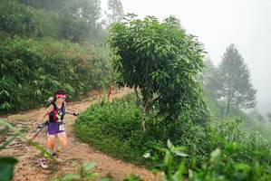 BIB: 
                            <button type="button" onclick="openModal(26385768)" class="btn btn-primary btn-sm float-right btn-popup" data-toggle="modal" data-target=".modal-high-quality">
                        <i class="fas fa-shopping-cart"></i> Add to Cart
                    </button>
                                            <button type="button" onclick="isThisMe(26385768, true)" class="btn btn-success btn-sm float-right btn-popup btn-isme hidden" data-toggle="tooltip" data-placement="bottom" title="นี่คือรูปของคุณใช่ไหม คลิกที่นี่เพื่อเอาเข้าอัลบั้ม">
                        <i class="fas fa-plus"></i> Add to album
                    </button>
                    <button type="button" onclick="isThisMe(26385768, false)" class="btn btn-warning btn-sm float-right btn-popup btn-isnotme hidden">
                        <i class="fas fa-ban"></i> Remove from album
                    </button>