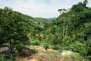 BIB: 
                            <button type="button" onclick="openModal(26389688)" class="btn btn-primary btn-sm float-right btn-popup" data-toggle="modal" data-target=".modal-high-quality">
                        <i class="fas fa-shopping-cart"></i> Add to Cart
                    </button>
                                            <button type="button" onclick="isThisMe(26389688, true)" class="btn btn-success btn-sm float-right btn-popup btn-isme hidden" data-toggle="tooltip" data-placement="bottom" title="นี่คือรูปของคุณใช่ไหม คลิกที่นี่เพื่อเอาเข้าอัลบั้ม">
                        <i class="fas fa-plus"></i> Add to album
                    </button>
                    <button type="button" onclick="isThisMe(26389688, false)" class="btn btn-warning btn-sm float-right btn-popup btn-isnotme hidden">
                        <i class="fas fa-ban"></i> Remove from album
                    </button>