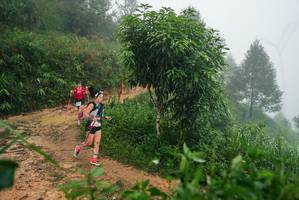 BIB: 
                            <button type="button" onclick="openModal(26383272)" class="btn btn-primary btn-sm float-right btn-popup" data-toggle="modal" data-target=".modal-high-quality">
                        <i class="fas fa-shopping-cart"></i> Add to Cart
                    </button>
                                            <button type="button" onclick="isThisMe(26383272, true)" class="btn btn-success btn-sm float-right btn-popup btn-isme hidden" data-toggle="tooltip" data-placement="bottom" title="นี่คือรูปของคุณใช่ไหม คลิกที่นี่เพื่อเอาเข้าอัลบั้ม">
                        <i class="fas fa-plus"></i> Add to album
                    </button>
                    <button type="button" onclick="isThisMe(26383272, false)" class="btn btn-warning btn-sm float-right btn-popup btn-isnotme hidden">
                        <i class="fas fa-ban"></i> Remove from album
                    </button>