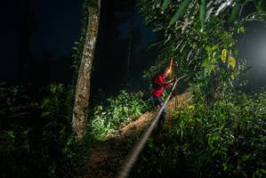 BIB: 
                            <button type="button" onclick="openModal(26374873)" class="btn btn-primary btn-sm float-right btn-popup" data-toggle="modal" data-target=".modal-high-quality">
                        <i class="fas fa-shopping-cart"></i> Add to Cart
                    </button>
                                            <button type="button" onclick="isThisMe(26374873, true)" class="btn btn-success btn-sm float-right btn-popup btn-isme hidden" data-toggle="tooltip" data-placement="bottom" title="นี่คือรูปของคุณใช่ไหม คลิกที่นี่เพื่อเอาเข้าอัลบั้ม">
                        <i class="fas fa-plus"></i> Add to album
                    </button>
                    <button type="button" onclick="isThisMe(26374873, false)" class="btn btn-warning btn-sm float-right btn-popup btn-isnotme hidden">
                        <i class="fas fa-ban"></i> Remove from album
                    </button>