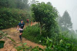 BIB: 
                            <button type="button" onclick="openModal(26383769)" class="btn btn-primary btn-sm float-right btn-popup" data-toggle="modal" data-target=".modal-high-quality">
                        <i class="fas fa-shopping-cart"></i> Add to Cart
                    </button>
                                            <button type="button" onclick="isThisMe(26383769, true)" class="btn btn-success btn-sm float-right btn-popup btn-isme hidden" data-toggle="tooltip" data-placement="bottom" title="นี่คือรูปของคุณใช่ไหม คลิกที่นี่เพื่อเอาเข้าอัลบั้ม">
                        <i class="fas fa-plus"></i> Add to album
                    </button>
                    <button type="button" onclick="isThisMe(26383769, false)" class="btn btn-warning btn-sm float-right btn-popup btn-isnotme hidden">
                        <i class="fas fa-ban"></i> Remove from album
                    </button>