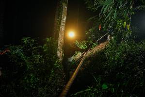 BIB: 
                            <button type="button" onclick="openModal(26373879)" class="btn btn-primary btn-sm float-right btn-popup" data-toggle="modal" data-target=".modal-high-quality">
                        <i class="fas fa-shopping-cart"></i> Add to Cart
                    </button>
                                            <button type="button" onclick="isThisMe(26373879, true)" class="btn btn-success btn-sm float-right btn-popup btn-isme hidden" data-toggle="tooltip" data-placement="bottom" title="นี่คือรูปของคุณใช่ไหม คลิกที่นี่เพื่อเอาเข้าอัลบั้ม">
                        <i class="fas fa-plus"></i> Add to album
                    </button>
                    <button type="button" onclick="isThisMe(26373879, false)" class="btn btn-warning btn-sm float-right btn-popup btn-isnotme hidden">
                        <i class="fas fa-ban"></i> Remove from album
                    </button>