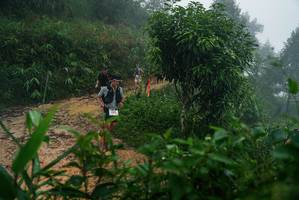 BIB: 
                            <button type="button" onclick="openModal(26379085)" class="btn btn-primary btn-sm float-right btn-popup" data-toggle="modal" data-target=".modal-high-quality">
                        <i class="fas fa-shopping-cart"></i> Add to Cart
                    </button>
                                            <button type="button" onclick="isThisMe(26379085, true)" class="btn btn-success btn-sm float-right btn-popup btn-isme hidden" data-toggle="tooltip" data-placement="bottom" title="นี่คือรูปของคุณใช่ไหม คลิกที่นี่เพื่อเอาเข้าอัลบั้ม">
                        <i class="fas fa-plus"></i> Add to album
                    </button>
                    <button type="button" onclick="isThisMe(26379085, false)" class="btn btn-warning btn-sm float-right btn-popup btn-isnotme hidden">
                        <i class="fas fa-ban"></i> Remove from album
                    </button>