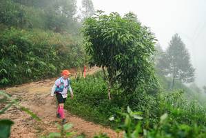 BIB: 
                            <button type="button" onclick="openModal(26385734)" class="btn btn-primary btn-sm float-right btn-popup" data-toggle="modal" data-target=".modal-high-quality">
                        <i class="fas fa-shopping-cart"></i> Add to Cart
                    </button>
                                            <button type="button" onclick="isThisMe(26385734, true)" class="btn btn-success btn-sm float-right btn-popup btn-isme hidden" data-toggle="tooltip" data-placement="bottom" title="นี่คือรูปของคุณใช่ไหม คลิกที่นี่เพื่อเอาเข้าอัลบั้ม">
                        <i class="fas fa-plus"></i> Add to album
                    </button>
                    <button type="button" onclick="isThisMe(26385734, false)" class="btn btn-warning btn-sm float-right btn-popup btn-isnotme hidden">
                        <i class="fas fa-ban"></i> Remove from album
                    </button>