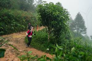 BIB: 
                            <button type="button" onclick="openModal(26383313)" class="btn btn-primary btn-sm float-right btn-popup" data-toggle="modal" data-target=".modal-high-quality">
                        <i class="fas fa-shopping-cart"></i> Add to Cart
                    </button>
                                            <button type="button" onclick="isThisMe(26383313, true)" class="btn btn-success btn-sm float-right btn-popup btn-isme hidden" data-toggle="tooltip" data-placement="bottom" title="นี่คือรูปของคุณใช่ไหม คลิกที่นี่เพื่อเอาเข้าอัลบั้ม">
                        <i class="fas fa-plus"></i> Add to album
                    </button>
                    <button type="button" onclick="isThisMe(26383313, false)" class="btn btn-warning btn-sm float-right btn-popup btn-isnotme hidden">
                        <i class="fas fa-ban"></i> Remove from album
                    </button>