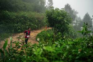 BIB: 
                            <button type="button" onclick="openModal(26377504)" class="btn btn-primary btn-sm float-right btn-popup" data-toggle="modal" data-target=".modal-high-quality">
                        <i class="fas fa-shopping-cart"></i> Add to Cart
                    </button>
                                            <button type="button" onclick="isThisMe(26377504, true)" class="btn btn-success btn-sm float-right btn-popup btn-isme hidden" data-toggle="tooltip" data-placement="bottom" title="นี่คือรูปของคุณใช่ไหม คลิกที่นี่เพื่อเอาเข้าอัลบั้ม">
                        <i class="fas fa-plus"></i> Add to album
                    </button>
                    <button type="button" onclick="isThisMe(26377504, false)" class="btn btn-warning btn-sm float-right btn-popup btn-isnotme hidden">
                        <i class="fas fa-ban"></i> Remove from album
                    </button>