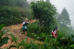 BIB: 
                            <button type="button" onclick="openModal(26381249)" class="btn btn-primary btn-sm float-right btn-popup" data-toggle="modal" data-target=".modal-high-quality">
                        <i class="fas fa-shopping-cart"></i> Add to Cart
                    </button>
                                            <button type="button" onclick="isThisMe(26381249, true)" class="btn btn-success btn-sm float-right btn-popup btn-isme hidden" data-toggle="tooltip" data-placement="bottom" title="นี่คือรูปของคุณใช่ไหม คลิกที่นี่เพื่อเอาเข้าอัลบั้ม">
                        <i class="fas fa-plus"></i> Add to album
                    </button>
                    <button type="button" onclick="isThisMe(26381249, false)" class="btn btn-warning btn-sm float-right btn-popup btn-isnotme hidden">
                        <i class="fas fa-ban"></i> Remove from album
                    </button>