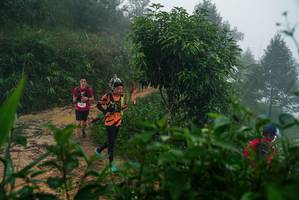 BIB: 
                            <button type="button" onclick="openModal(26379465)" class="btn btn-primary btn-sm float-right btn-popup" data-toggle="modal" data-target=".modal-high-quality">
                        <i class="fas fa-shopping-cart"></i> Add to Cart
                    </button>
                                            <button type="button" onclick="isThisMe(26379465, true)" class="btn btn-success btn-sm float-right btn-popup btn-isme hidden" data-toggle="tooltip" data-placement="bottom" title="นี่คือรูปของคุณใช่ไหม คลิกที่นี่เพื่อเอาเข้าอัลบั้ม">
                        <i class="fas fa-plus"></i> Add to album
                    </button>
                    <button type="button" onclick="isThisMe(26379465, false)" class="btn btn-warning btn-sm float-right btn-popup btn-isnotme hidden">
                        <i class="fas fa-ban"></i> Remove from album
                    </button>