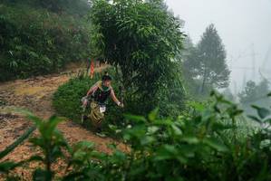 BIB: 
                            <button type="button" onclick="openModal(26380278)" class="btn btn-primary btn-sm float-right btn-popup" data-toggle="modal" data-target=".modal-high-quality">
                        <i class="fas fa-shopping-cart"></i> Add to Cart
                    </button>
                                            <button type="button" onclick="isThisMe(26380278, true)" class="btn btn-success btn-sm float-right btn-popup btn-isme hidden" data-toggle="tooltip" data-placement="bottom" title="นี่คือรูปของคุณใช่ไหม คลิกที่นี่เพื่อเอาเข้าอัลบั้ม">
                        <i class="fas fa-plus"></i> Add to album
                    </button>
                    <button type="button" onclick="isThisMe(26380278, false)" class="btn btn-warning btn-sm float-right btn-popup btn-isnotme hidden">
                        <i class="fas fa-ban"></i> Remove from album
                    </button>