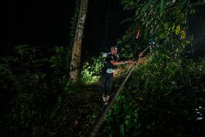 BIB: 
                            <button type="button" onclick="openModal(26371926)" class="btn btn-primary btn-sm float-right btn-popup" data-toggle="modal" data-target=".modal-high-quality">
                        <i class="fas fa-shopping-cart"></i> Add to Cart
                    </button>
                                            <button type="button" onclick="isThisMe(26371926, true)" class="btn btn-success btn-sm float-right btn-popup btn-isme hidden" data-toggle="tooltip" data-placement="bottom" title="นี่คือรูปของคุณใช่ไหม คลิกที่นี่เพื่อเอาเข้าอัลบั้ม">
                        <i class="fas fa-plus"></i> Add to album
                    </button>
                    <button type="button" onclick="isThisMe(26371926, false)" class="btn btn-warning btn-sm float-right btn-popup btn-isnotme hidden">
                        <i class="fas fa-ban"></i> Remove from album
                    </button>