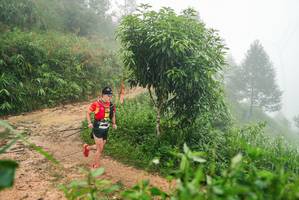 BIB: 
                            <button type="button" onclick="openModal(26384915)" class="btn btn-primary btn-sm float-right btn-popup" data-toggle="modal" data-target=".modal-high-quality">
                        <i class="fas fa-shopping-cart"></i> Add to Cart
                    </button>
                                            <button type="button" onclick="isThisMe(26384915, true)" class="btn btn-success btn-sm float-right btn-popup btn-isme hidden" data-toggle="tooltip" data-placement="bottom" title="นี่คือรูปของคุณใช่ไหม คลิกที่นี่เพื่อเอาเข้าอัลบั้ม">
                        <i class="fas fa-plus"></i> Add to album
                    </button>
                    <button type="button" onclick="isThisMe(26384915, false)" class="btn btn-warning btn-sm float-right btn-popup btn-isnotme hidden">
                        <i class="fas fa-ban"></i> Remove from album
                    </button>