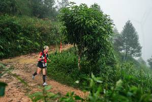 BIB: 
                            <button type="button" onclick="openModal(26382147)" class="btn btn-primary btn-sm float-right btn-popup" data-toggle="modal" data-target=".modal-high-quality">
                        <i class="fas fa-shopping-cart"></i> Add to Cart
                    </button>
                                            <button type="button" onclick="isThisMe(26382147, true)" class="btn btn-success btn-sm float-right btn-popup btn-isme hidden" data-toggle="tooltip" data-placement="bottom" title="นี่คือรูปของคุณใช่ไหม คลิกที่นี่เพื่อเอาเข้าอัลบั้ม">
                        <i class="fas fa-plus"></i> Add to album
                    </button>
                    <button type="button" onclick="isThisMe(26382147, false)" class="btn btn-warning btn-sm float-right btn-popup btn-isnotme hidden">
                        <i class="fas fa-ban"></i> Remove from album
                    </button>