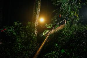 BIB: 
                            <button type="button" onclick="openModal(26373876)" class="btn btn-primary btn-sm float-right btn-popup" data-toggle="modal" data-target=".modal-high-quality">
                        <i class="fas fa-shopping-cart"></i> Add to Cart
                    </button>
                                            <button type="button" onclick="isThisMe(26373876, true)" class="btn btn-success btn-sm float-right btn-popup btn-isme hidden" data-toggle="tooltip" data-placement="bottom" title="นี่คือรูปของคุณใช่ไหม คลิกที่นี่เพื่อเอาเข้าอัลบั้ม">
                        <i class="fas fa-plus"></i> Add to album
                    </button>
                    <button type="button" onclick="isThisMe(26373876, false)" class="btn btn-warning btn-sm float-right btn-popup btn-isnotme hidden">
                        <i class="fas fa-ban"></i> Remove from album
                    </button>