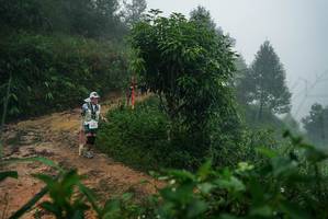 BIB: 
                            <button type="button" onclick="openModal(26379858)" class="btn btn-primary btn-sm float-right btn-popup" data-toggle="modal" data-target=".modal-high-quality">
                        <i class="fas fa-shopping-cart"></i> Add to Cart
                    </button>
                                            <button type="button" onclick="isThisMe(26379858, true)" class="btn btn-success btn-sm float-right btn-popup btn-isme hidden" data-toggle="tooltip" data-placement="bottom" title="นี่คือรูปของคุณใช่ไหม คลิกที่นี่เพื่อเอาเข้าอัลบั้ม">
                        <i class="fas fa-plus"></i> Add to album
                    </button>
                    <button type="button" onclick="isThisMe(26379858, false)" class="btn btn-warning btn-sm float-right btn-popup btn-isnotme hidden">
                        <i class="fas fa-ban"></i> Remove from album
                    </button>