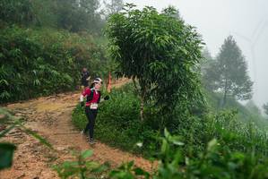 BIB: 
                            <button type="button" onclick="openModal(26383314)" class="btn btn-primary btn-sm float-right btn-popup" data-toggle="modal" data-target=".modal-high-quality">
                        <i class="fas fa-shopping-cart"></i> Add to Cart
                    </button>
                                            <button type="button" onclick="isThisMe(26383314, true)" class="btn btn-success btn-sm float-right btn-popup btn-isme hidden" data-toggle="tooltip" data-placement="bottom" title="นี่คือรูปของคุณใช่ไหม คลิกที่นี่เพื่อเอาเข้าอัลบั้ม">
                        <i class="fas fa-plus"></i> Add to album
                    </button>
                    <button type="button" onclick="isThisMe(26383314, false)" class="btn btn-warning btn-sm float-right btn-popup btn-isnotme hidden">
                        <i class="fas fa-ban"></i> Remove from album
                    </button>