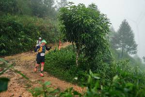 BIB: 
                            <button type="button" onclick="openModal(26383419)" class="btn btn-primary btn-sm float-right btn-popup" data-toggle="modal" data-target=".modal-high-quality">
                        <i class="fas fa-shopping-cart"></i> Add to Cart
                    </button>
                                            <button type="button" onclick="isThisMe(26383419, true)" class="btn btn-success btn-sm float-right btn-popup btn-isme hidden" data-toggle="tooltip" data-placement="bottom" title="นี่คือรูปของคุณใช่ไหม คลิกที่นี่เพื่อเอาเข้าอัลบั้ม">
                        <i class="fas fa-plus"></i> Add to album
                    </button>
                    <button type="button" onclick="isThisMe(26383419, false)" class="btn btn-warning btn-sm float-right btn-popup btn-isnotme hidden">
                        <i class="fas fa-ban"></i> Remove from album
                    </button>