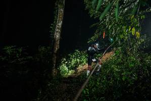 BIB: 
                            <button type="button" onclick="openModal(26373284)" class="btn btn-primary btn-sm float-right btn-popup" data-toggle="modal" data-target=".modal-high-quality">
                        <i class="fas fa-shopping-cart"></i> Add to Cart
                    </button>
                                            <button type="button" onclick="isThisMe(26373284, true)" class="btn btn-success btn-sm float-right btn-popup btn-isme hidden" data-toggle="tooltip" data-placement="bottom" title="นี่คือรูปของคุณใช่ไหม คลิกที่นี่เพื่อเอาเข้าอัลบั้ม">
                        <i class="fas fa-plus"></i> Add to album
                    </button>
                    <button type="button" onclick="isThisMe(26373284, false)" class="btn btn-warning btn-sm float-right btn-popup btn-isnotme hidden">
                        <i class="fas fa-ban"></i> Remove from album
                    </button>