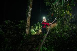 BIB: 
                            <button type="button" onclick="openModal(26373351)" class="btn btn-primary btn-sm float-right btn-popup" data-toggle="modal" data-target=".modal-high-quality">
                        <i class="fas fa-shopping-cart"></i> Add to Cart
                    </button>
                                            <button type="button" onclick="isThisMe(26373351, true)" class="btn btn-success btn-sm float-right btn-popup btn-isme hidden" data-toggle="tooltip" data-placement="bottom" title="นี่คือรูปของคุณใช่ไหม คลิกที่นี่เพื่อเอาเข้าอัลบั้ม">
                        <i class="fas fa-plus"></i> Add to album
                    </button>
                    <button type="button" onclick="isThisMe(26373351, false)" class="btn btn-warning btn-sm float-right btn-popup btn-isnotme hidden">
                        <i class="fas fa-ban"></i> Remove from album
                    </button>