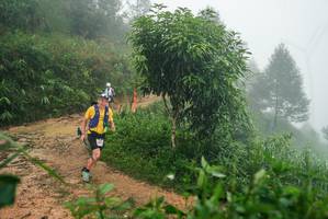 BIB: 
                            <button type="button" onclick="openModal(26384022)" class="btn btn-primary btn-sm float-right btn-popup" data-toggle="modal" data-target=".modal-high-quality">
                        <i class="fas fa-shopping-cart"></i> Add to Cart
                    </button>
                                            <button type="button" onclick="isThisMe(26384022, true)" class="btn btn-success btn-sm float-right btn-popup btn-isme hidden" data-toggle="tooltip" data-placement="bottom" title="นี่คือรูปของคุณใช่ไหม คลิกที่นี่เพื่อเอาเข้าอัลบั้ม">
                        <i class="fas fa-plus"></i> Add to album
                    </button>
                    <button type="button" onclick="isThisMe(26384022, false)" class="btn btn-warning btn-sm float-right btn-popup btn-isnotme hidden">
                        <i class="fas fa-ban"></i> Remove from album
                    </button>