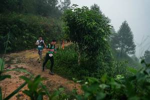 BIB: 
                            <button type="button" onclick="openModal(26379926)" class="btn btn-primary btn-sm float-right btn-popup" data-toggle="modal" data-target=".modal-high-quality">
                        <i class="fas fa-shopping-cart"></i> Add to Cart
                    </button>
                                            <button type="button" onclick="isThisMe(26379926, true)" class="btn btn-success btn-sm float-right btn-popup btn-isme hidden" data-toggle="tooltip" data-placement="bottom" title="นี่คือรูปของคุณใช่ไหม คลิกที่นี่เพื่อเอาเข้าอัลบั้ม">
                        <i class="fas fa-plus"></i> Add to album
                    </button>
                    <button type="button" onclick="isThisMe(26379926, false)" class="btn btn-warning btn-sm float-right btn-popup btn-isnotme hidden">
                        <i class="fas fa-ban"></i> Remove from album
                    </button>