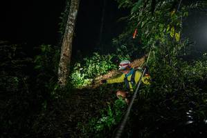 BIB: 
                            <button type="button" onclick="openModal(26372646)" class="btn btn-primary btn-sm float-right btn-popup" data-toggle="modal" data-target=".modal-high-quality">
                        <i class="fas fa-shopping-cart"></i> Add to Cart
                    </button>
                                            <button type="button" onclick="isThisMe(26372646, true)" class="btn btn-success btn-sm float-right btn-popup btn-isme hidden" data-toggle="tooltip" data-placement="bottom" title="นี่คือรูปของคุณใช่ไหม คลิกที่นี่เพื่อเอาเข้าอัลบั้ม">
                        <i class="fas fa-plus"></i> Add to album
                    </button>
                    <button type="button" onclick="isThisMe(26372646, false)" class="btn btn-warning btn-sm float-right btn-popup btn-isnotme hidden">
                        <i class="fas fa-ban"></i> Remove from album
                    </button>