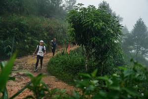 BIB: 
                            <button type="button" onclick="openModal(26379510)" class="btn btn-primary btn-sm float-right btn-popup" data-toggle="modal" data-target=".modal-high-quality">
                        <i class="fas fa-shopping-cart"></i> Add to Cart
                    </button>
                                            <button type="button" onclick="isThisMe(26379510, true)" class="btn btn-success btn-sm float-right btn-popup btn-isme hidden" data-toggle="tooltip" data-placement="bottom" title="นี่คือรูปของคุณใช่ไหม คลิกที่นี่เพื่อเอาเข้าอัลบั้ม">
                        <i class="fas fa-plus"></i> Add to album
                    </button>
                    <button type="button" onclick="isThisMe(26379510, false)" class="btn btn-warning btn-sm float-right btn-popup btn-isnotme hidden">
                        <i class="fas fa-ban"></i> Remove from album
                    </button>