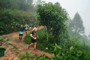 BIB: 
                            <button type="button" onclick="openModal(26383811)" class="btn btn-primary btn-sm float-right btn-popup" data-toggle="modal" data-target=".modal-high-quality">
                        <i class="fas fa-shopping-cart"></i> Add to Cart
                    </button>
                                            <button type="button" onclick="isThisMe(26383811, true)" class="btn btn-success btn-sm float-right btn-popup btn-isme hidden" data-toggle="tooltip" data-placement="bottom" title="นี่คือรูปของคุณใช่ไหม คลิกที่นี่เพื่อเอาเข้าอัลบั้ม">
                        <i class="fas fa-plus"></i> Add to album
                    </button>
                    <button type="button" onclick="isThisMe(26383811, false)" class="btn btn-warning btn-sm float-right btn-popup btn-isnotme hidden">
                        <i class="fas fa-ban"></i> Remove from album
                    </button>