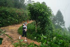 BIB: 
                            <button type="button" onclick="openModal(26382285)" class="btn btn-primary btn-sm float-right btn-popup" data-toggle="modal" data-target=".modal-high-quality">
                        <i class="fas fa-shopping-cart"></i> Add to Cart
                    </button>
                                            <button type="button" onclick="isThisMe(26382285, true)" class="btn btn-success btn-sm float-right btn-popup btn-isme hidden" data-toggle="tooltip" data-placement="bottom" title="นี่คือรูปของคุณใช่ไหม คลิกที่นี่เพื่อเอาเข้าอัลบั้ม">
                        <i class="fas fa-plus"></i> Add to album
                    </button>
                    <button type="button" onclick="isThisMe(26382285, false)" class="btn btn-warning btn-sm float-right btn-popup btn-isnotme hidden">
                        <i class="fas fa-ban"></i> Remove from album
                    </button>