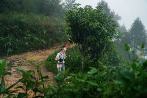 BIB: 
                            <button type="button" onclick="openModal(26379126)" class="btn btn-primary btn-sm float-right btn-popup" data-toggle="modal" data-target=".modal-high-quality">
                        <i class="fas fa-shopping-cart"></i> Add to Cart
                    </button>
                                            <button type="button" onclick="isThisMe(26379126, true)" class="btn btn-success btn-sm float-right btn-popup btn-isme hidden" data-toggle="tooltip" data-placement="bottom" title="นี่คือรูปของคุณใช่ไหม คลิกที่นี่เพื่อเอาเข้าอัลบั้ม">
                        <i class="fas fa-plus"></i> Add to album
                    </button>
                    <button type="button" onclick="isThisMe(26379126, false)" class="btn btn-warning btn-sm float-right btn-popup btn-isnotme hidden">
                        <i class="fas fa-ban"></i> Remove from album
                    </button>