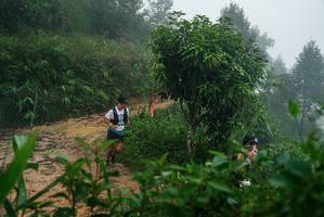 BIB: 
                            <button type="button" onclick="openModal(26379241)" class="btn btn-primary btn-sm float-right btn-popup" data-toggle="modal" data-target=".modal-high-quality">
                        <i class="fas fa-shopping-cart"></i> Add to Cart
                    </button>
                                            <button type="button" onclick="isThisMe(26379241, true)" class="btn btn-success btn-sm float-right btn-popup btn-isme hidden" data-toggle="tooltip" data-placement="bottom" title="นี่คือรูปของคุณใช่ไหม คลิกที่นี่เพื่อเอาเข้าอัลบั้ม">
                        <i class="fas fa-plus"></i> Add to album
                    </button>
                    <button type="button" onclick="isThisMe(26379241, false)" class="btn btn-warning btn-sm float-right btn-popup btn-isnotme hidden">
                        <i class="fas fa-ban"></i> Remove from album
                    </button>