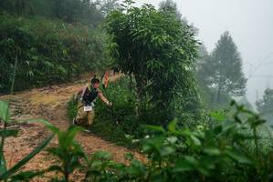 BIB: 
                            <button type="button" onclick="openModal(26380248)" class="btn btn-primary btn-sm float-right btn-popup" data-toggle="modal" data-target=".modal-high-quality">
                        <i class="fas fa-shopping-cart"></i> Add to Cart
                    </button>
                                            <button type="button" onclick="isThisMe(26380248, true)" class="btn btn-success btn-sm float-right btn-popup btn-isme hidden" data-toggle="tooltip" data-placement="bottom" title="นี่คือรูปของคุณใช่ไหม คลิกที่นี่เพื่อเอาเข้าอัลบั้ม">
                        <i class="fas fa-plus"></i> Add to album
                    </button>
                    <button type="button" onclick="isThisMe(26380248, false)" class="btn btn-warning btn-sm float-right btn-popup btn-isnotme hidden">
                        <i class="fas fa-ban"></i> Remove from album
                    </button>