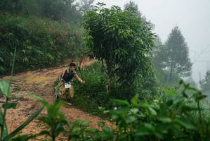 BIB: 
                            <button type="button" onclick="openModal(26380245)" class="btn btn-primary btn-sm float-right btn-popup" data-toggle="modal" data-target=".modal-high-quality">
                        <i class="fas fa-shopping-cart"></i> Add to Cart
                    </button>
                                            <button type="button" onclick="isThisMe(26380245, true)" class="btn btn-success btn-sm float-right btn-popup btn-isme hidden" data-toggle="tooltip" data-placement="bottom" title="นี่คือรูปของคุณใช่ไหม คลิกที่นี่เพื่อเอาเข้าอัลบั้ม">
                        <i class="fas fa-plus"></i> Add to album
                    </button>
                    <button type="button" onclick="isThisMe(26380245, false)" class="btn btn-warning btn-sm float-right btn-popup btn-isnotme hidden">
                        <i class="fas fa-ban"></i> Remove from album
                    </button>