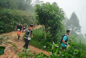 BIB: 
                            <button type="button" onclick="openModal(26384306)" class="btn btn-primary btn-sm float-right btn-popup" data-toggle="modal" data-target=".modal-high-quality">
                        <i class="fas fa-shopping-cart"></i> Add to Cart
                    </button>
                                            <button type="button" onclick="isThisMe(26384306, true)" class="btn btn-success btn-sm float-right btn-popup btn-isme hidden" data-toggle="tooltip" data-placement="bottom" title="นี่คือรูปของคุณใช่ไหม คลิกที่นี่เพื่อเอาเข้าอัลบั้ม">
                        <i class="fas fa-plus"></i> Add to album
                    </button>
                    <button type="button" onclick="isThisMe(26384306, false)" class="btn btn-warning btn-sm float-right btn-popup btn-isnotme hidden">
                        <i class="fas fa-ban"></i> Remove from album
                    </button>