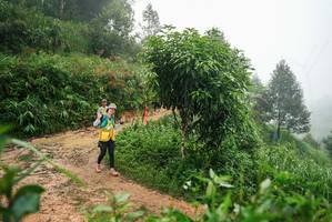 BIB: 
                            <button type="button" onclick="openModal(26386365)" class="btn btn-primary btn-sm float-right btn-popup" data-toggle="modal" data-target=".modal-high-quality">
                        <i class="fas fa-shopping-cart"></i> Add to Cart
                    </button>
                                            <button type="button" onclick="isThisMe(26386365, true)" class="btn btn-success btn-sm float-right btn-popup btn-isme hidden" data-toggle="tooltip" data-placement="bottom" title="นี่คือรูปของคุณใช่ไหม คลิกที่นี่เพื่อเอาเข้าอัลบั้ม">
                        <i class="fas fa-plus"></i> Add to album
                    </button>
                    <button type="button" onclick="isThisMe(26386365, false)" class="btn btn-warning btn-sm float-right btn-popup btn-isnotme hidden">
                        <i class="fas fa-ban"></i> Remove from album
                    </button>