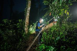 BIB: 
                            <button type="button" onclick="openModal(26375112)" class="btn btn-primary btn-sm float-right btn-popup" data-toggle="modal" data-target=".modal-high-quality">
                        <i class="fas fa-shopping-cart"></i> Add to Cart
                    </button>
                                            <button type="button" onclick="isThisMe(26375112, true)" class="btn btn-success btn-sm float-right btn-popup btn-isme hidden" data-toggle="tooltip" data-placement="bottom" title="นี่คือรูปของคุณใช่ไหม คลิกที่นี่เพื่อเอาเข้าอัลบั้ม">
                        <i class="fas fa-plus"></i> Add to album
                    </button>
                    <button type="button" onclick="isThisMe(26375112, false)" class="btn btn-warning btn-sm float-right btn-popup btn-isnotme hidden">
                        <i class="fas fa-ban"></i> Remove from album
                    </button>