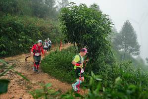 BIB: 
                            <button type="button" onclick="openModal(26383583)" class="btn btn-primary btn-sm float-right btn-popup" data-toggle="modal" data-target=".modal-high-quality">
                        <i class="fas fa-shopping-cart"></i> Add to Cart
                    </button>
                                            <button type="button" onclick="isThisMe(26383583, true)" class="btn btn-success btn-sm float-right btn-popup btn-isme hidden" data-toggle="tooltip" data-placement="bottom" title="นี่คือรูปของคุณใช่ไหม คลิกที่นี่เพื่อเอาเข้าอัลบั้ม">
                        <i class="fas fa-plus"></i> Add to album
                    </button>
                    <button type="button" onclick="isThisMe(26383583, false)" class="btn btn-warning btn-sm float-right btn-popup btn-isnotme hidden">
                        <i class="fas fa-ban"></i> Remove from album
                    </button>