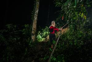 BIB: 
                            <button type="button" onclick="openModal(26373352)" class="btn btn-primary btn-sm float-right btn-popup" data-toggle="modal" data-target=".modal-high-quality">
                        <i class="fas fa-shopping-cart"></i> Add to Cart
                    </button>
                                            <button type="button" onclick="isThisMe(26373352, true)" class="btn btn-success btn-sm float-right btn-popup btn-isme hidden" data-toggle="tooltip" data-placement="bottom" title="นี่คือรูปของคุณใช่ไหม คลิกที่นี่เพื่อเอาเข้าอัลบั้ม">
                        <i class="fas fa-plus"></i> Add to album
                    </button>
                    <button type="button" onclick="isThisMe(26373352, false)" class="btn btn-warning btn-sm float-right btn-popup btn-isnotme hidden">
                        <i class="fas fa-ban"></i> Remove from album
                    </button>