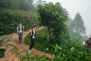 BIB: 
                            <button type="button" onclick="openModal(26383748)" class="btn btn-primary btn-sm float-right btn-popup" data-toggle="modal" data-target=".modal-high-quality">
                        <i class="fas fa-shopping-cart"></i> Add to Cart
                    </button>
                                            <button type="button" onclick="isThisMe(26383748, true)" class="btn btn-success btn-sm float-right btn-popup btn-isme hidden" data-toggle="tooltip" data-placement="bottom" title="นี่คือรูปของคุณใช่ไหม คลิกที่นี่เพื่อเอาเข้าอัลบั้ม">
                        <i class="fas fa-plus"></i> Add to album
                    </button>
                    <button type="button" onclick="isThisMe(26383748, false)" class="btn btn-warning btn-sm float-right btn-popup btn-isnotme hidden">
                        <i class="fas fa-ban"></i> Remove from album
                    </button>