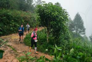 BIB: 
                            <button type="button" onclick="openModal(26382233)" class="btn btn-primary btn-sm float-right btn-popup" data-toggle="modal" data-target=".modal-high-quality">
                        <i class="fas fa-shopping-cart"></i> Add to Cart
                    </button>
                                            <button type="button" onclick="isThisMe(26382233, true)" class="btn btn-success btn-sm float-right btn-popup btn-isme hidden" data-toggle="tooltip" data-placement="bottom" title="นี่คือรูปของคุณใช่ไหม คลิกที่นี่เพื่อเอาเข้าอัลบั้ม">
                        <i class="fas fa-plus"></i> Add to album
                    </button>
                    <button type="button" onclick="isThisMe(26382233, false)" class="btn btn-warning btn-sm float-right btn-popup btn-isnotme hidden">
                        <i class="fas fa-ban"></i> Remove from album
                    </button>