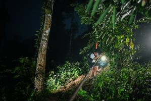 BIB: 
                            <button type="button" onclick="openModal(26375272)" class="btn btn-primary btn-sm float-right btn-popup" data-toggle="modal" data-target=".modal-high-quality">
                        <i class="fas fa-shopping-cart"></i> Add to Cart
                    </button>
                                            <button type="button" onclick="isThisMe(26375272, true)" class="btn btn-success btn-sm float-right btn-popup btn-isme hidden" data-toggle="tooltip" data-placement="bottom" title="นี่คือรูปของคุณใช่ไหม คลิกที่นี่เพื่อเอาเข้าอัลบั้ม">
                        <i class="fas fa-plus"></i> Add to album
                    </button>
                    <button type="button" onclick="isThisMe(26375272, false)" class="btn btn-warning btn-sm float-right btn-popup btn-isnotme hidden">
                        <i class="fas fa-ban"></i> Remove from album
                    </button>