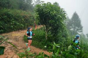 BIB: 
                            <button type="button" onclick="openModal(26382314)" class="btn btn-primary btn-sm float-right btn-popup" data-toggle="modal" data-target=".modal-high-quality">
                        <i class="fas fa-shopping-cart"></i> Add to Cart
                    </button>
                                            <button type="button" onclick="isThisMe(26382314, true)" class="btn btn-success btn-sm float-right btn-popup btn-isme hidden" data-toggle="tooltip" data-placement="bottom" title="นี่คือรูปของคุณใช่ไหม คลิกที่นี่เพื่อเอาเข้าอัลบั้ม">
                        <i class="fas fa-plus"></i> Add to album
                    </button>
                    <button type="button" onclick="isThisMe(26382314, false)" class="btn btn-warning btn-sm float-right btn-popup btn-isnotme hidden">
                        <i class="fas fa-ban"></i> Remove from album
                    </button>