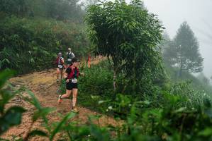 BIB: 
                            <button type="button" onclick="openModal(26381201)" class="btn btn-primary btn-sm float-right btn-popup" data-toggle="modal" data-target=".modal-high-quality">
                        <i class="fas fa-shopping-cart"></i> Add to Cart
                    </button>
                                            <button type="button" onclick="isThisMe(26381201, true)" class="btn btn-success btn-sm float-right btn-popup btn-isme hidden" data-toggle="tooltip" data-placement="bottom" title="นี่คือรูปของคุณใช่ไหม คลิกที่นี่เพื่อเอาเข้าอัลบั้ม">
                        <i class="fas fa-plus"></i> Add to album
                    </button>
                    <button type="button" onclick="isThisMe(26381201, false)" class="btn btn-warning btn-sm float-right btn-popup btn-isnotme hidden">
                        <i class="fas fa-ban"></i> Remove from album
                    </button>