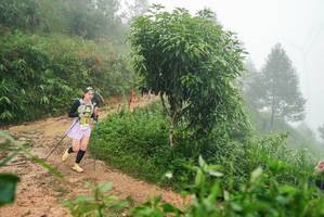 BIB: 
                            <button type="button" onclick="openModal(26384700)" class="btn btn-primary btn-sm float-right btn-popup" data-toggle="modal" data-target=".modal-high-quality">
                        <i class="fas fa-shopping-cart"></i> Add to Cart
                    </button>
                                            <button type="button" onclick="isThisMe(26384700, true)" class="btn btn-success btn-sm float-right btn-popup btn-isme hidden" data-toggle="tooltip" data-placement="bottom" title="นี่คือรูปของคุณใช่ไหม คลิกที่นี่เพื่อเอาเข้าอัลบั้ม">
                        <i class="fas fa-plus"></i> Add to album
                    </button>
                    <button type="button" onclick="isThisMe(26384700, false)" class="btn btn-warning btn-sm float-right btn-popup btn-isnotme hidden">
                        <i class="fas fa-ban"></i> Remove from album
                    </button>