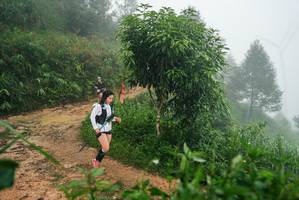 BIB: 
                            <button type="button" onclick="openModal(26383935)" class="btn btn-primary btn-sm float-right btn-popup" data-toggle="modal" data-target=".modal-high-quality">
                        <i class="fas fa-shopping-cart"></i> Add to Cart
                    </button>
                                            <button type="button" onclick="isThisMe(26383935, true)" class="btn btn-success btn-sm float-right btn-popup btn-isme hidden" data-toggle="tooltip" data-placement="bottom" title="นี่คือรูปของคุณใช่ไหม คลิกที่นี่เพื่อเอาเข้าอัลบั้ม">
                        <i class="fas fa-plus"></i> Add to album
                    </button>
                    <button type="button" onclick="isThisMe(26383935, false)" class="btn btn-warning btn-sm float-right btn-popup btn-isnotme hidden">
                        <i class="fas fa-ban"></i> Remove from album
                    </button>